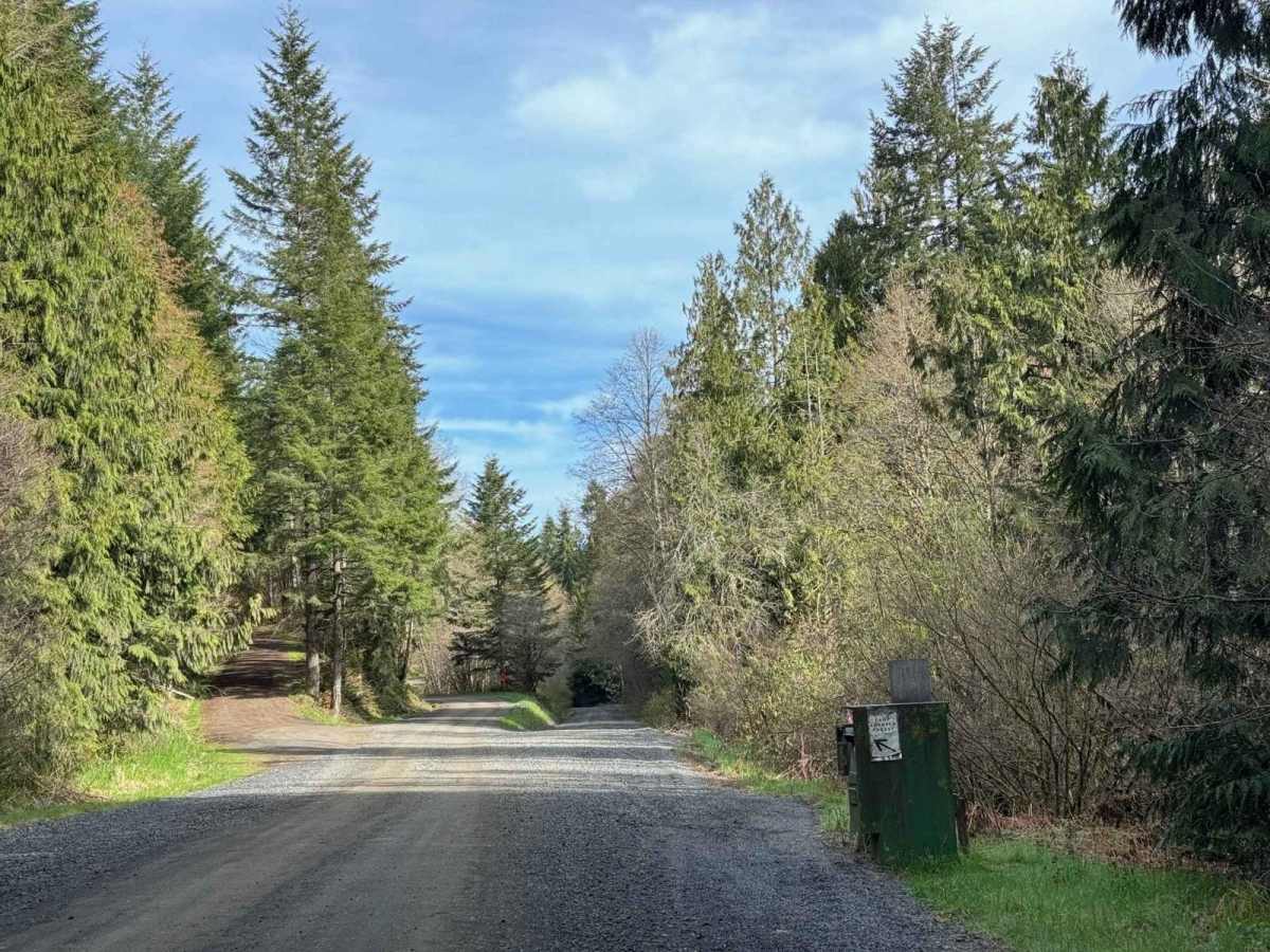 Shaffer Road photo 6