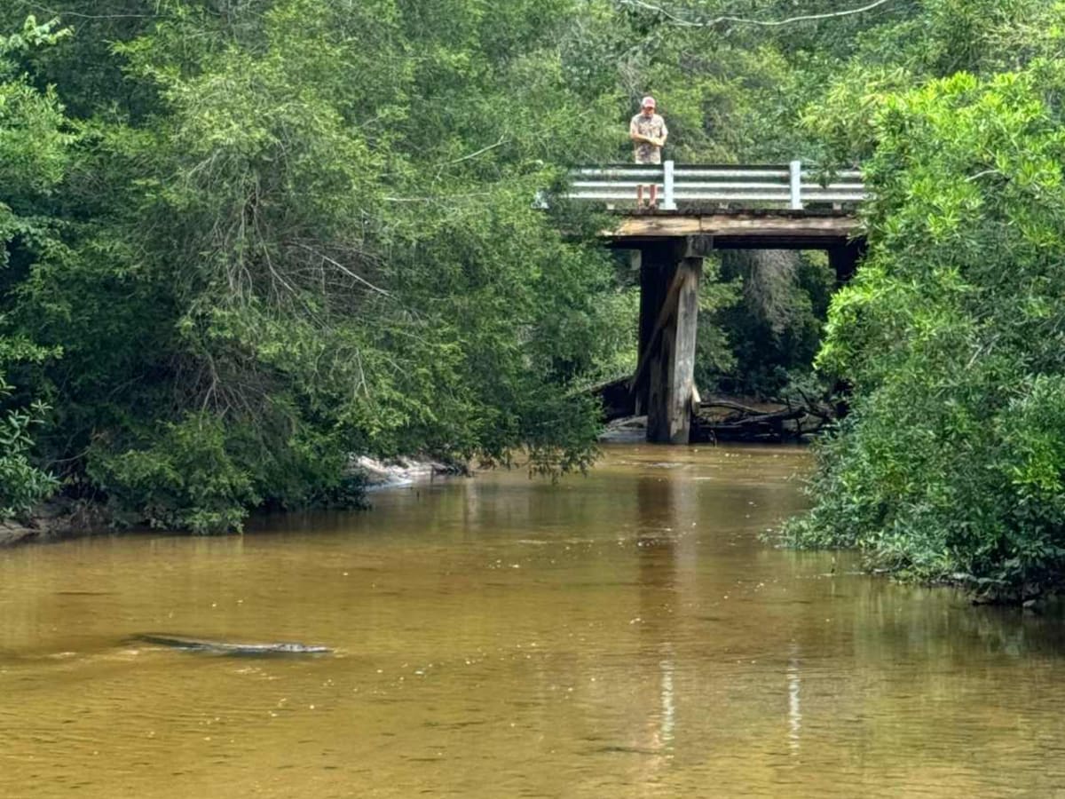 Blackwater River Route 1 photo 3