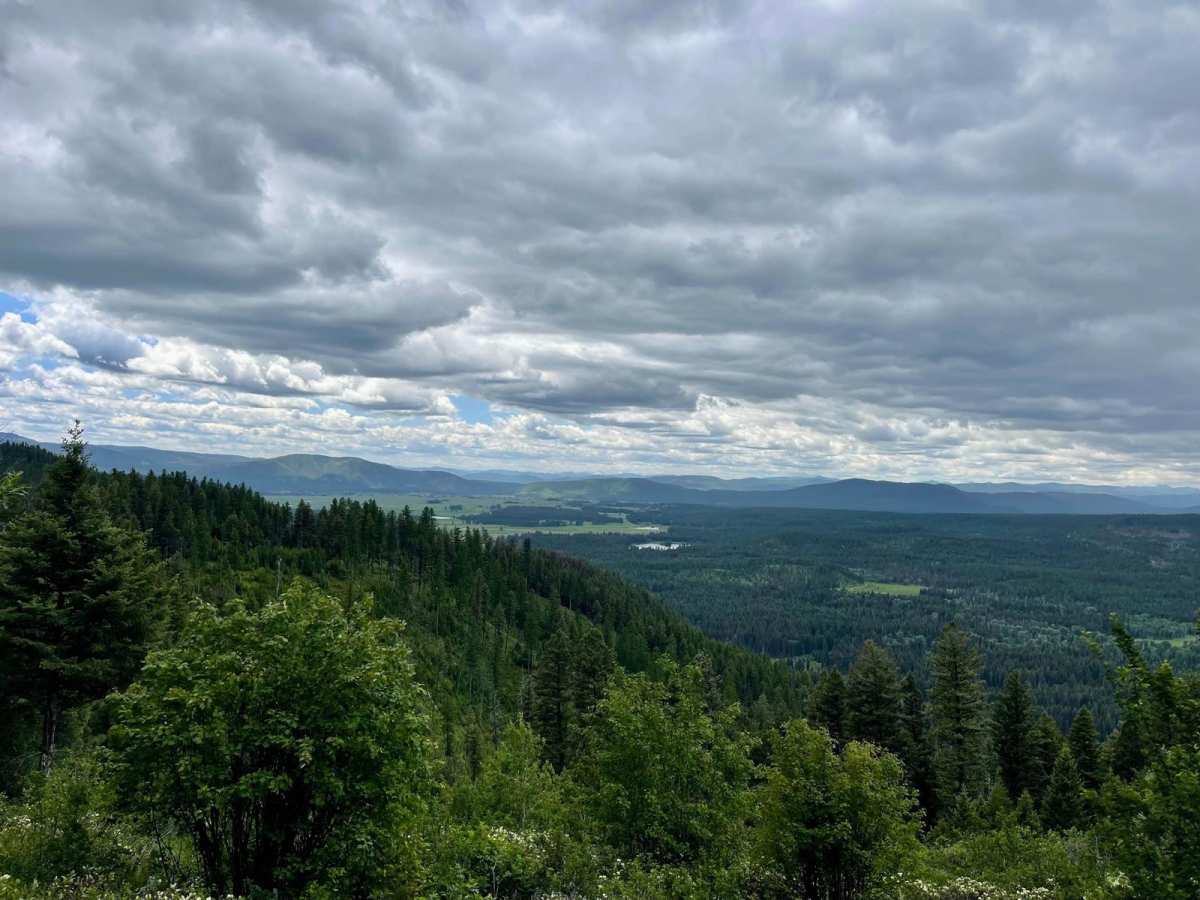 McCabe Loop(Red Hills) trail photo