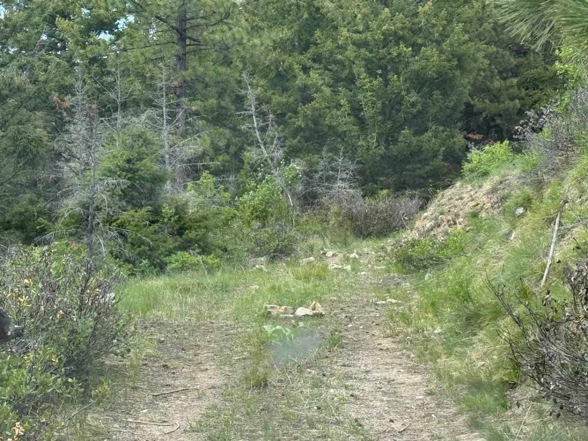 Shook Mountain photo 3
