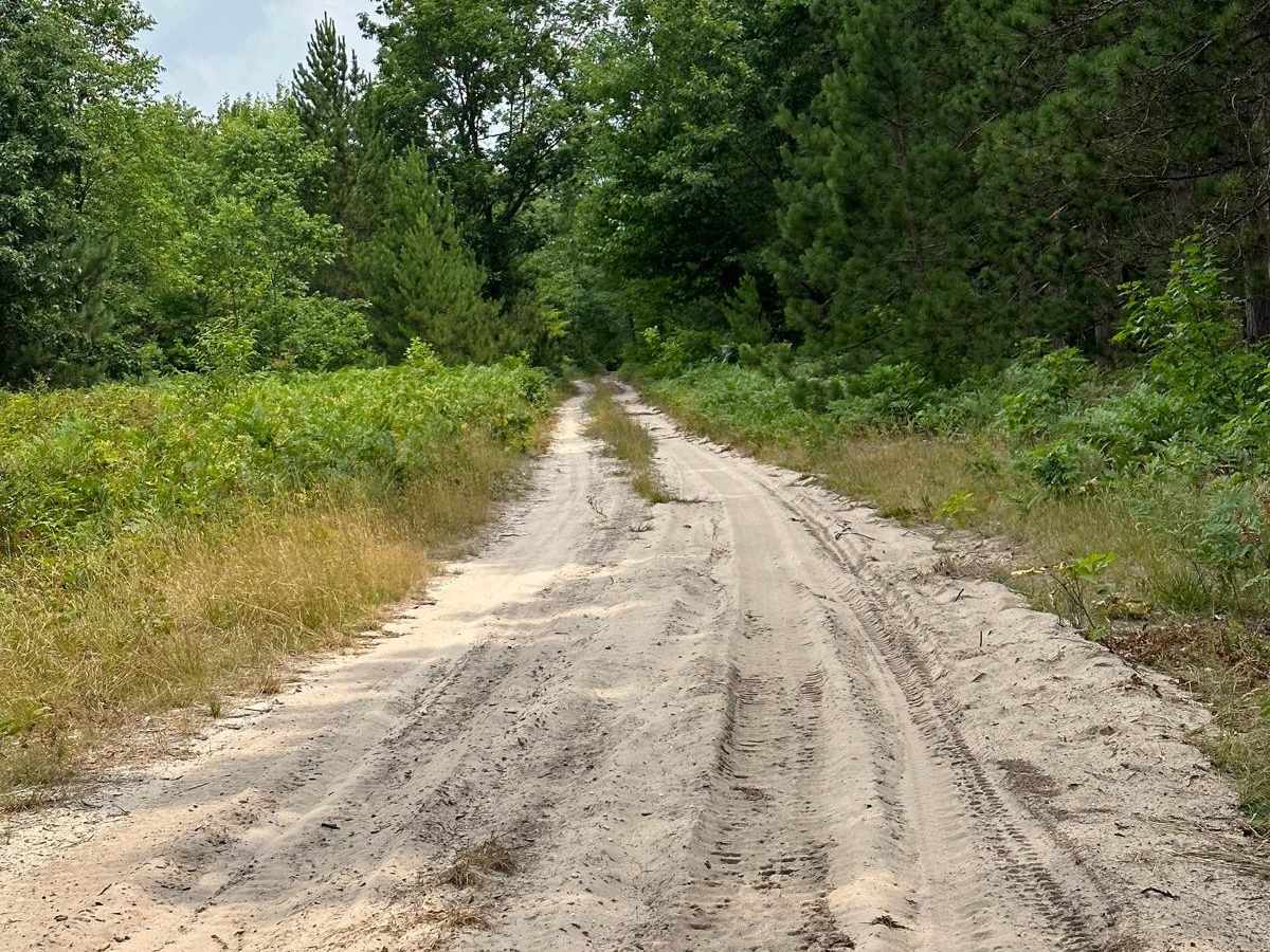 Milnichol Road photo 3
