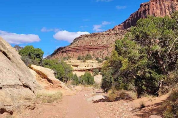 Lavender Canyon Road - North