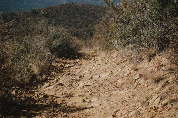 Prospectors