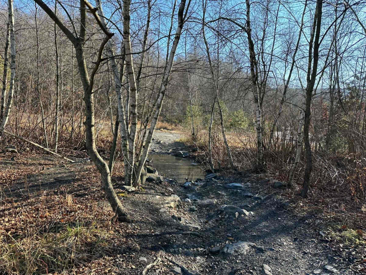 Locust Gap 11 trail photo