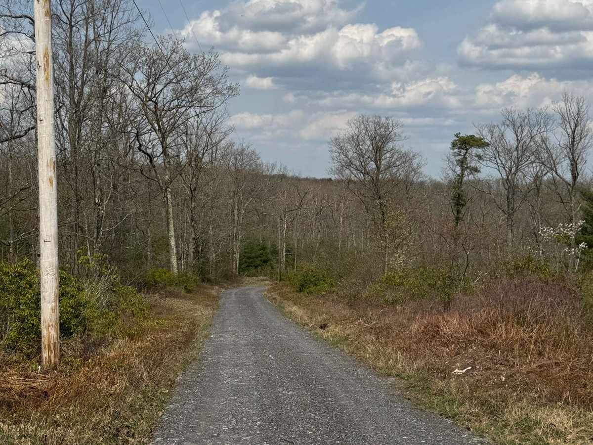 Boyer Mill Road photo 4