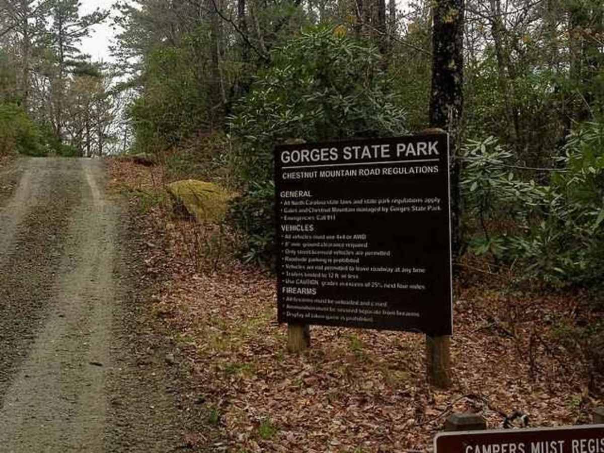 Chestnut Ridge Road/Auger Hole Road trail photo