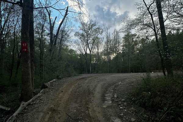 Service Road 17 (SR 17)