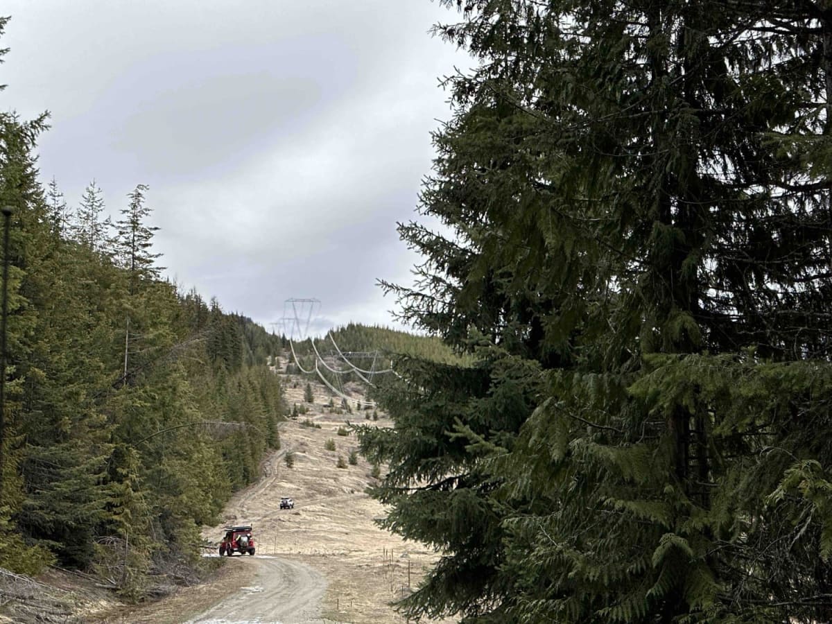Albers Creek Road photo 5