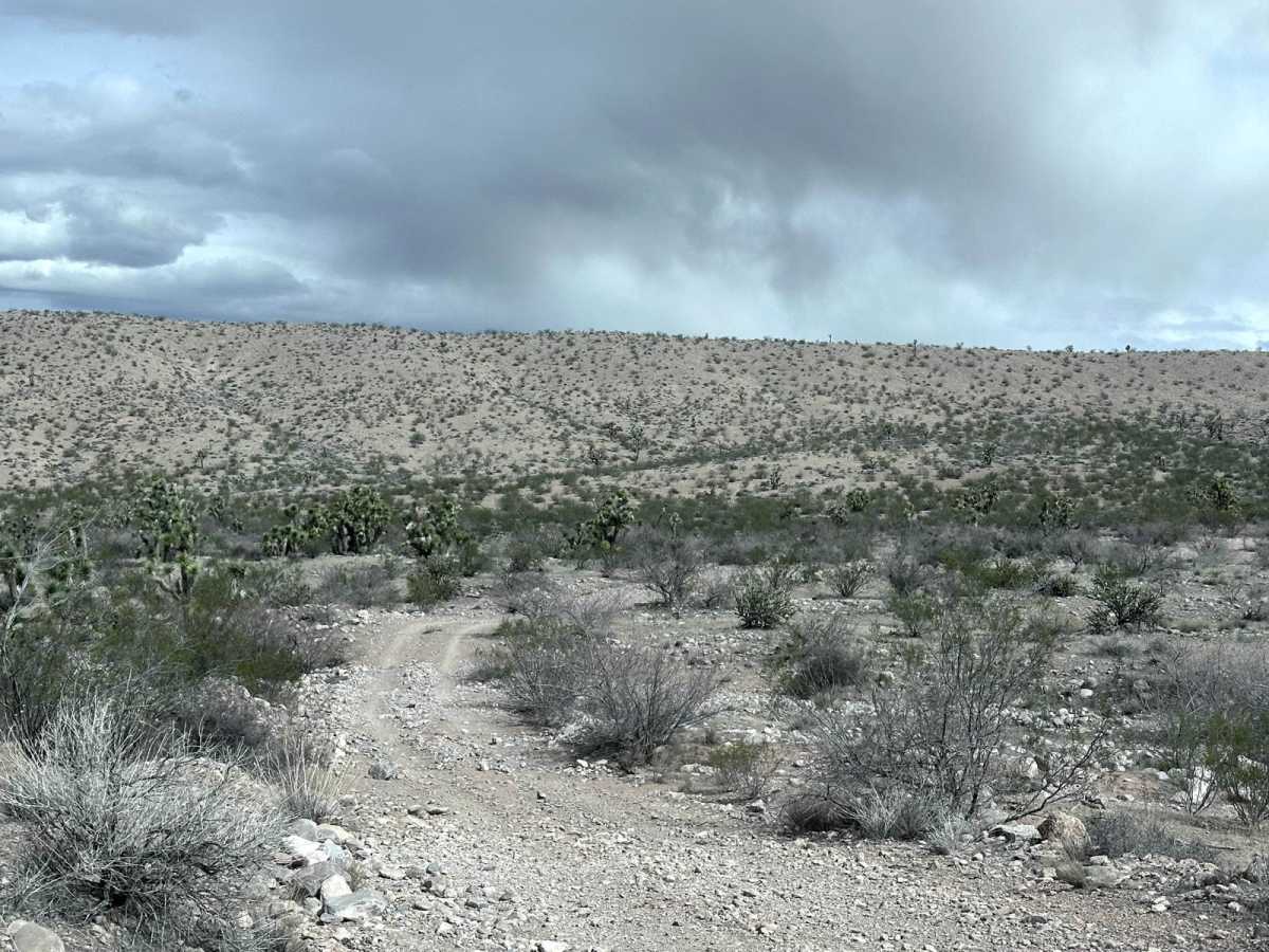 Grand Wash Cliffs - BLM 1061 trail photo