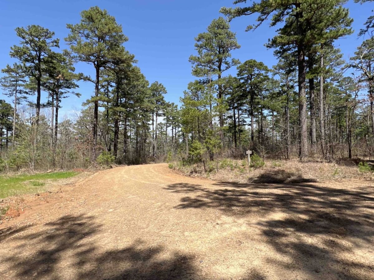 Taylor Branch 705 photo 2