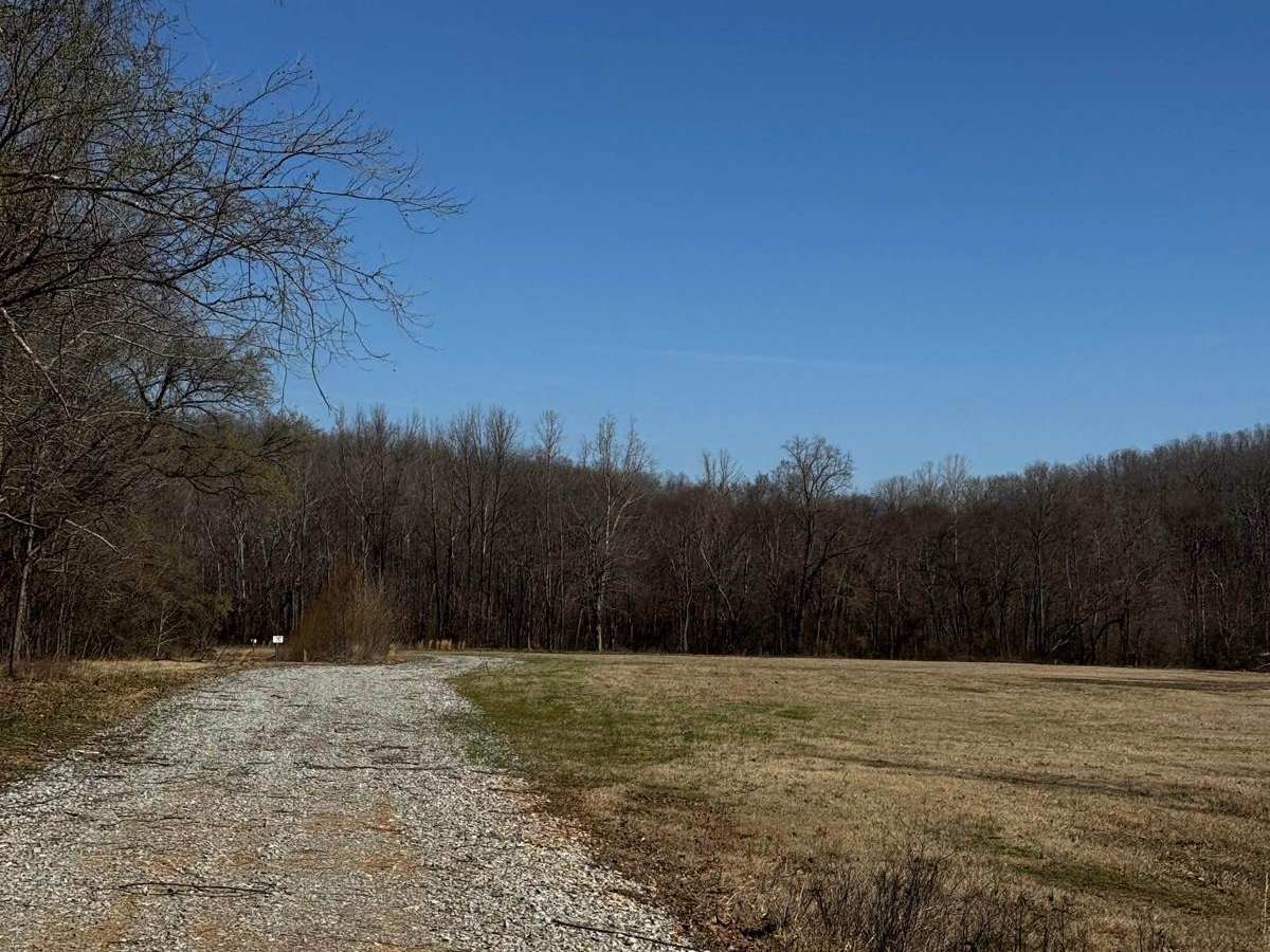 J.J's Field photo 2