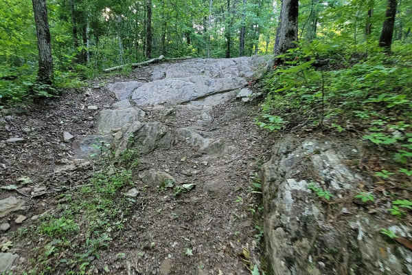 Crow's Nest Bypass