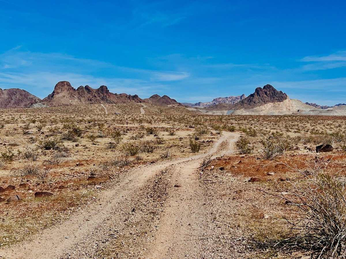 Wheeler Wagon Ridge Dispersed Camps trail photo