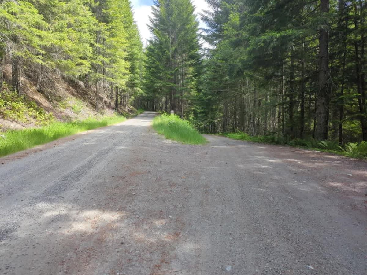 County Line trail photo