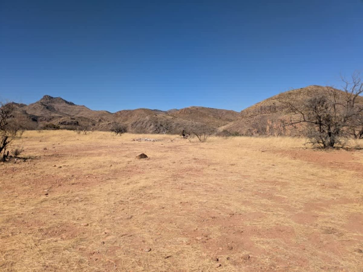Wise Mesa - FR4151 photo 4