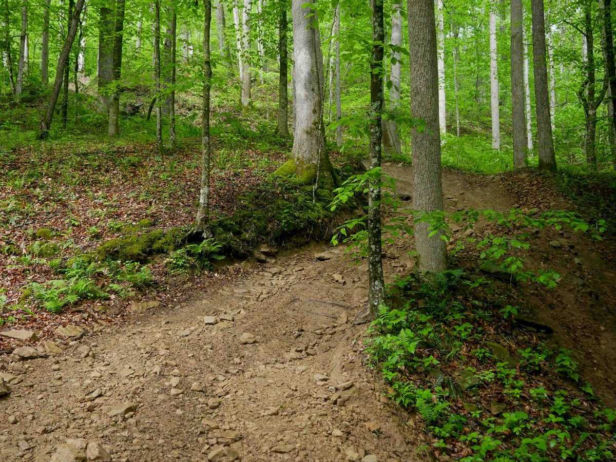 IB 62 trail photo