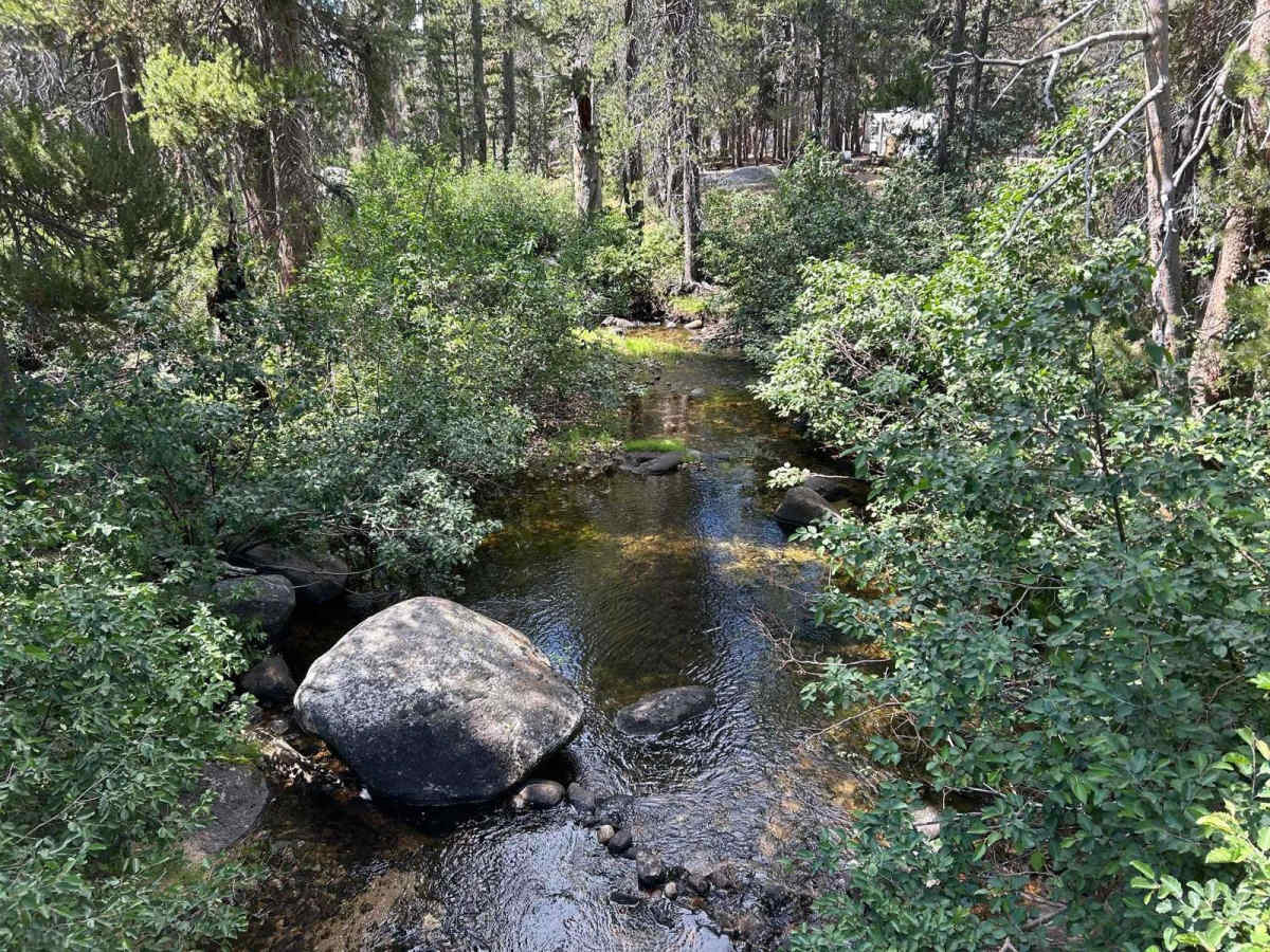 Sample Meadow Campground photo 5