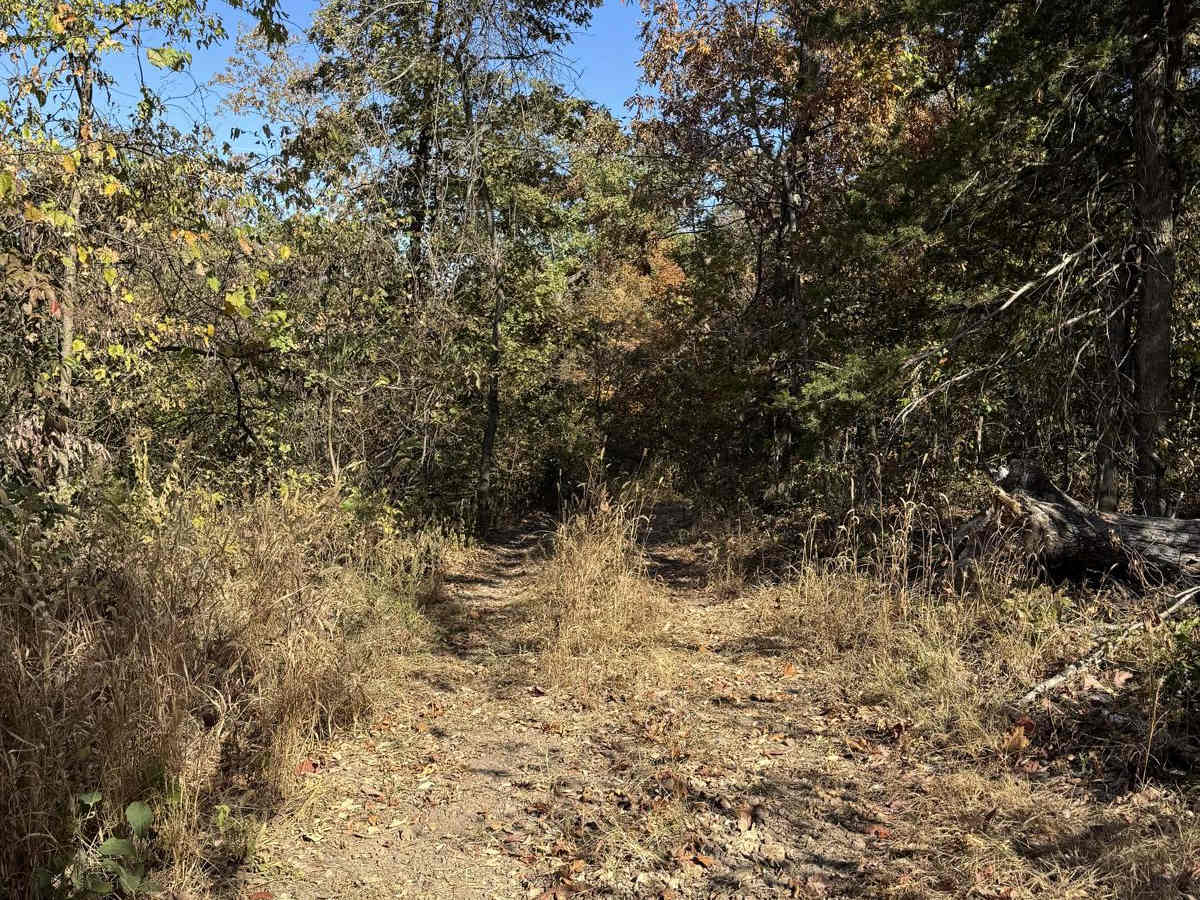 Green 60 trail photo