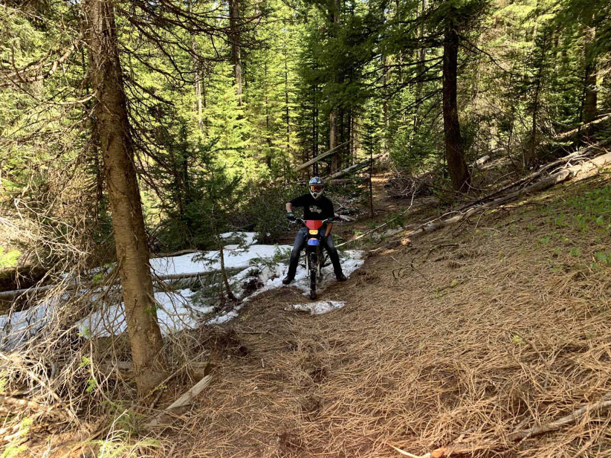 North Fork Deer Creek photo 2