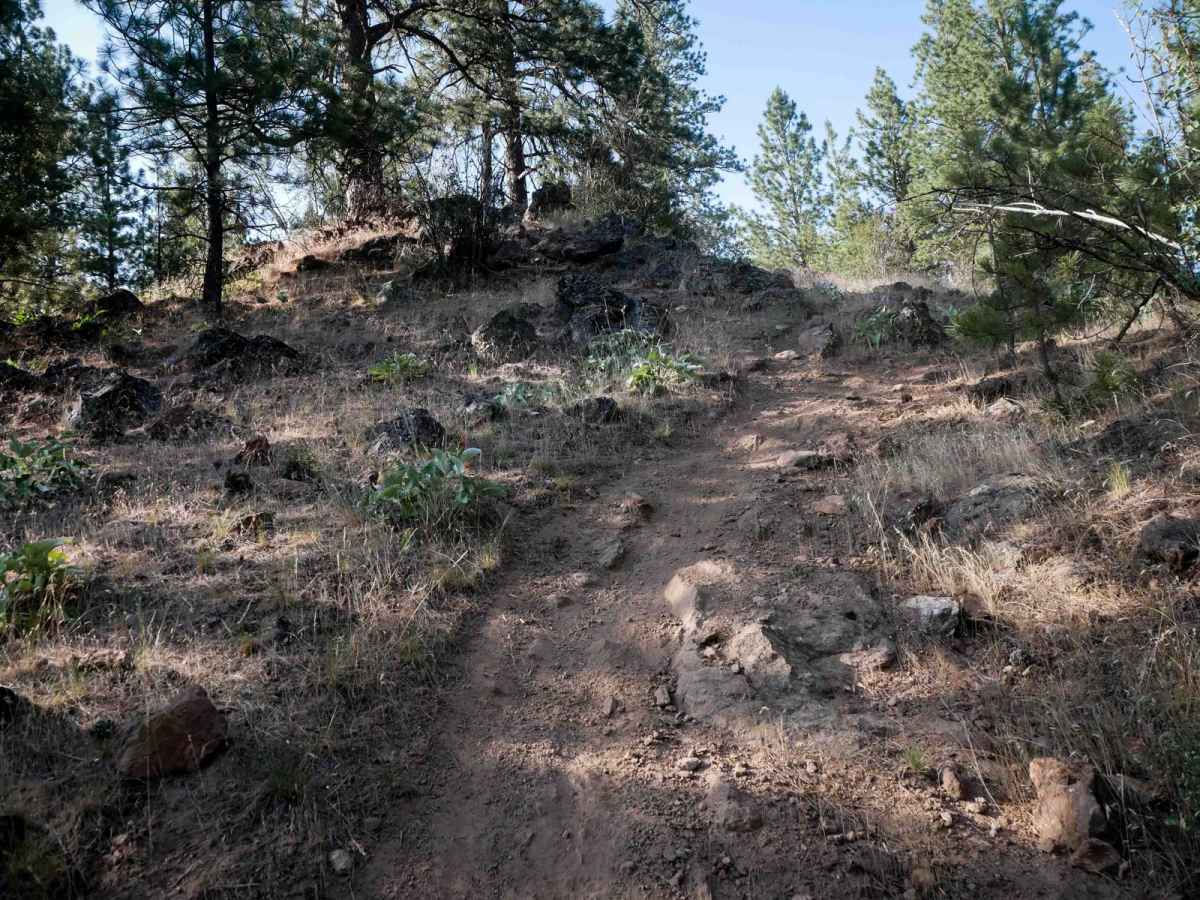 Lake View trail photo
