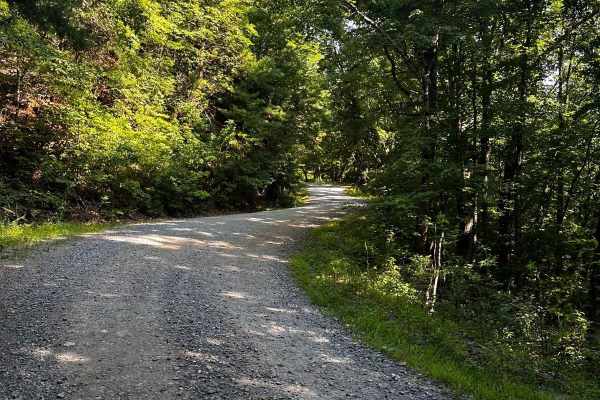 Springer Mountain Trail