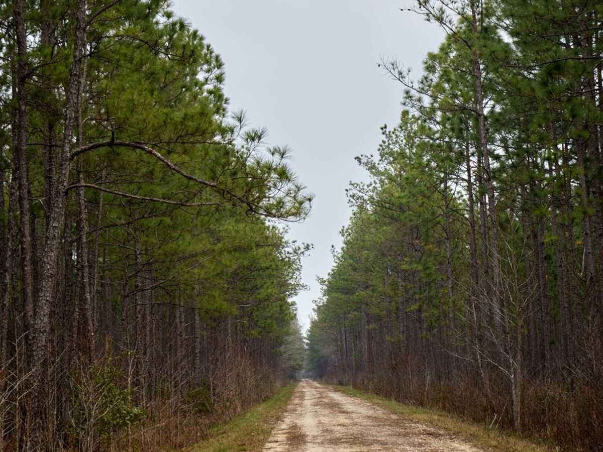 Port Road - FSR223 photo 6