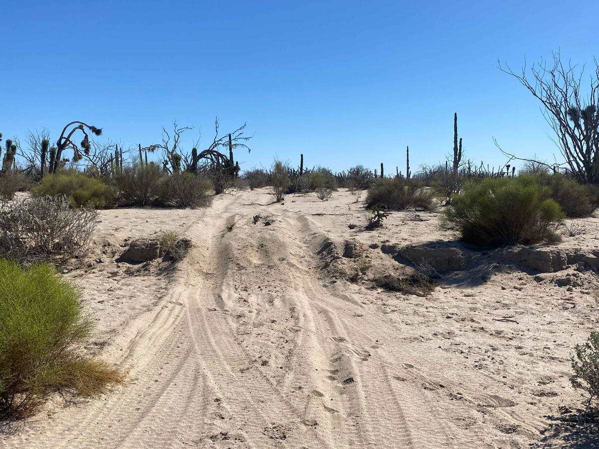 Middle Cross trail photo