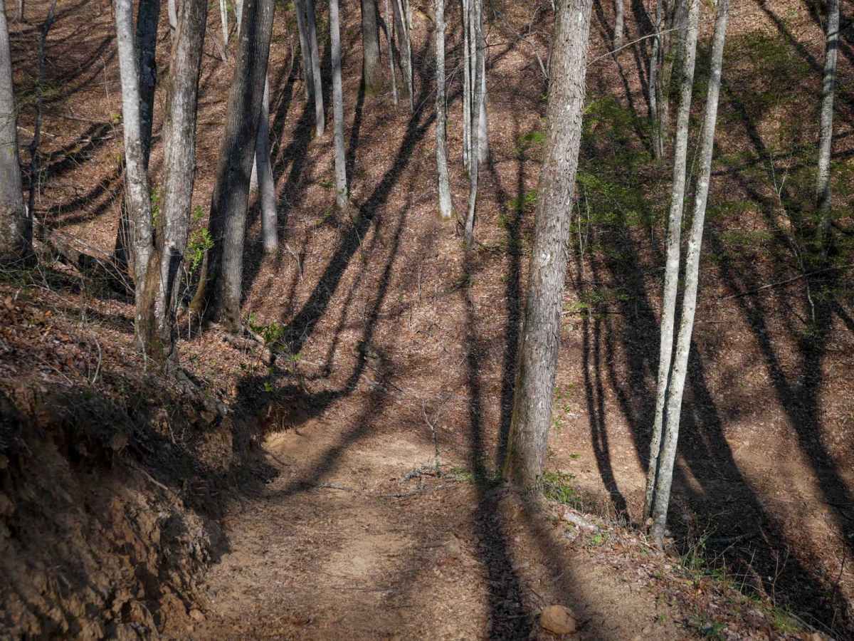 Trail 8 (Most Difficult - One Way) photo 4