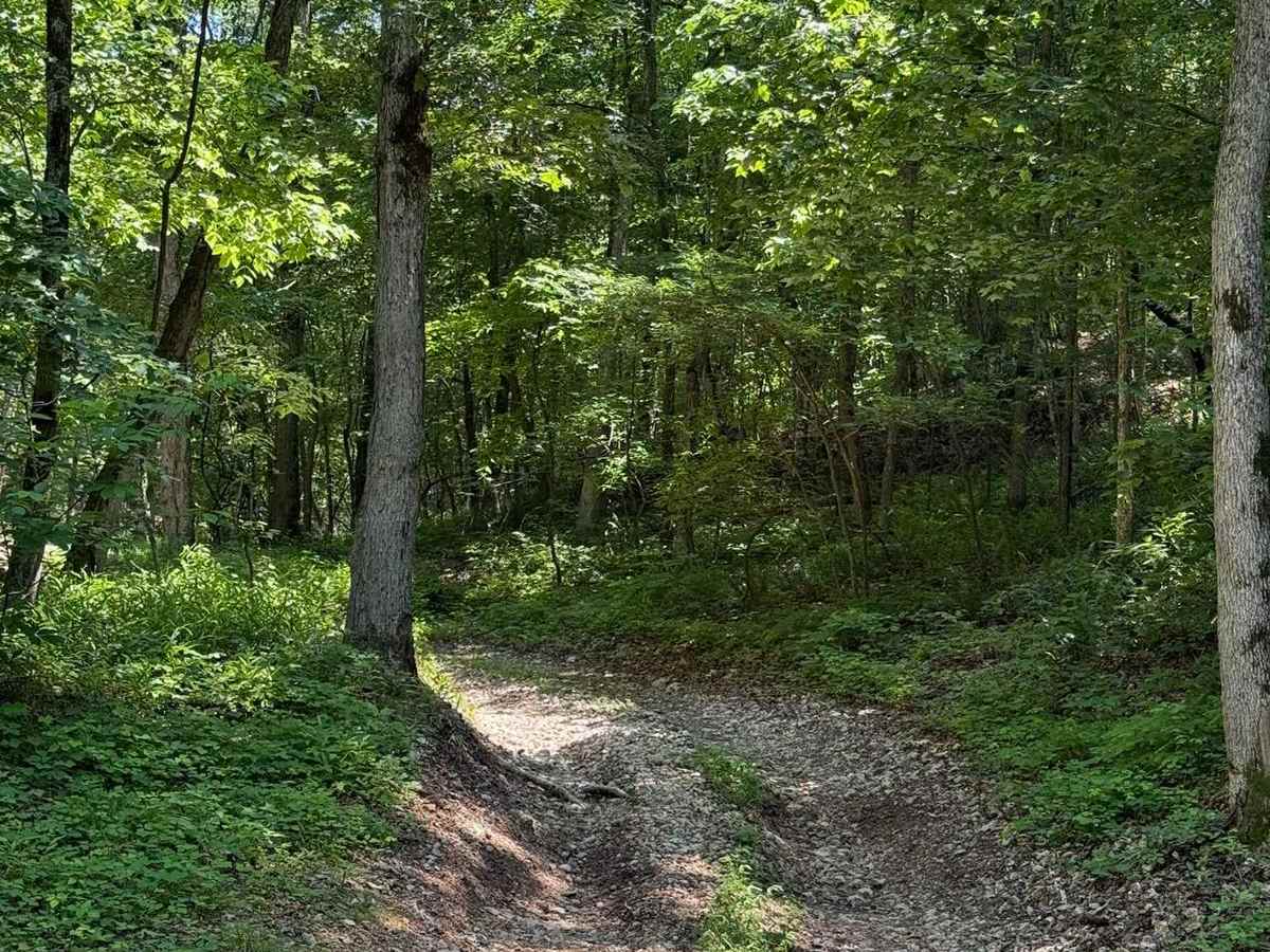 Gunnar's Trail trail photo