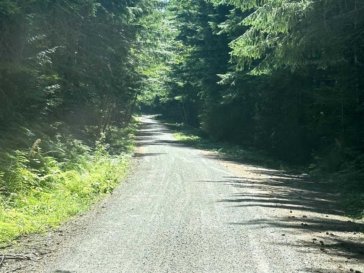 8 Road trail photo