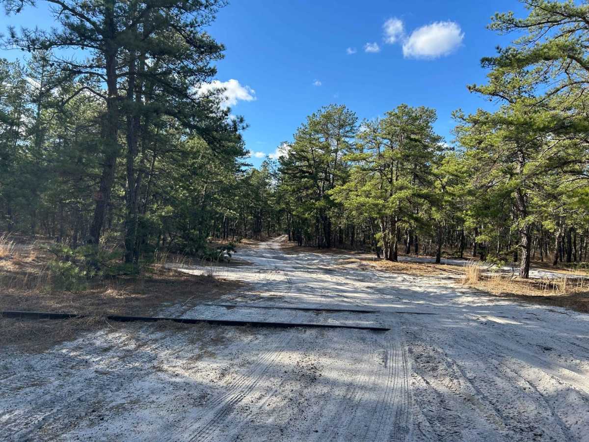 Lee's Trail photo 3
