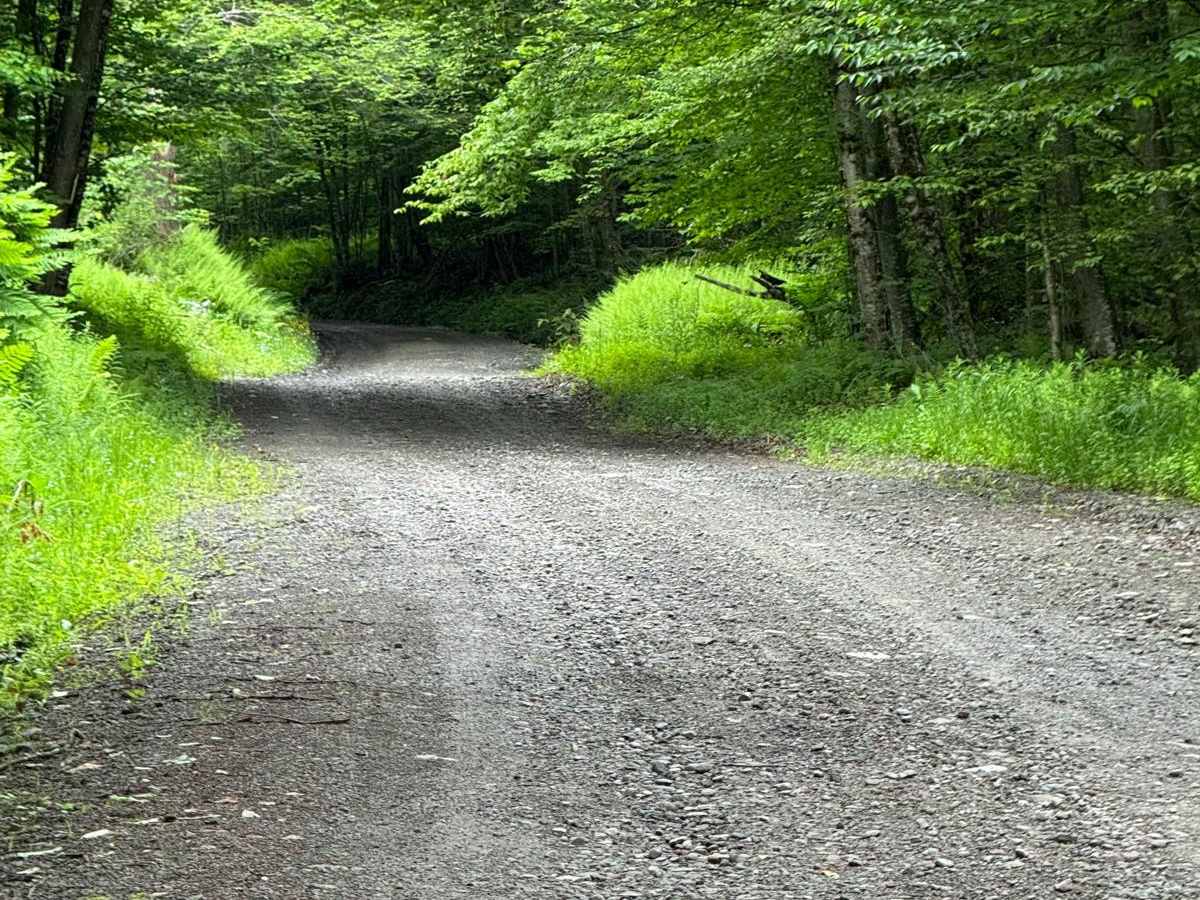 Behrmann Hill Road photo 4