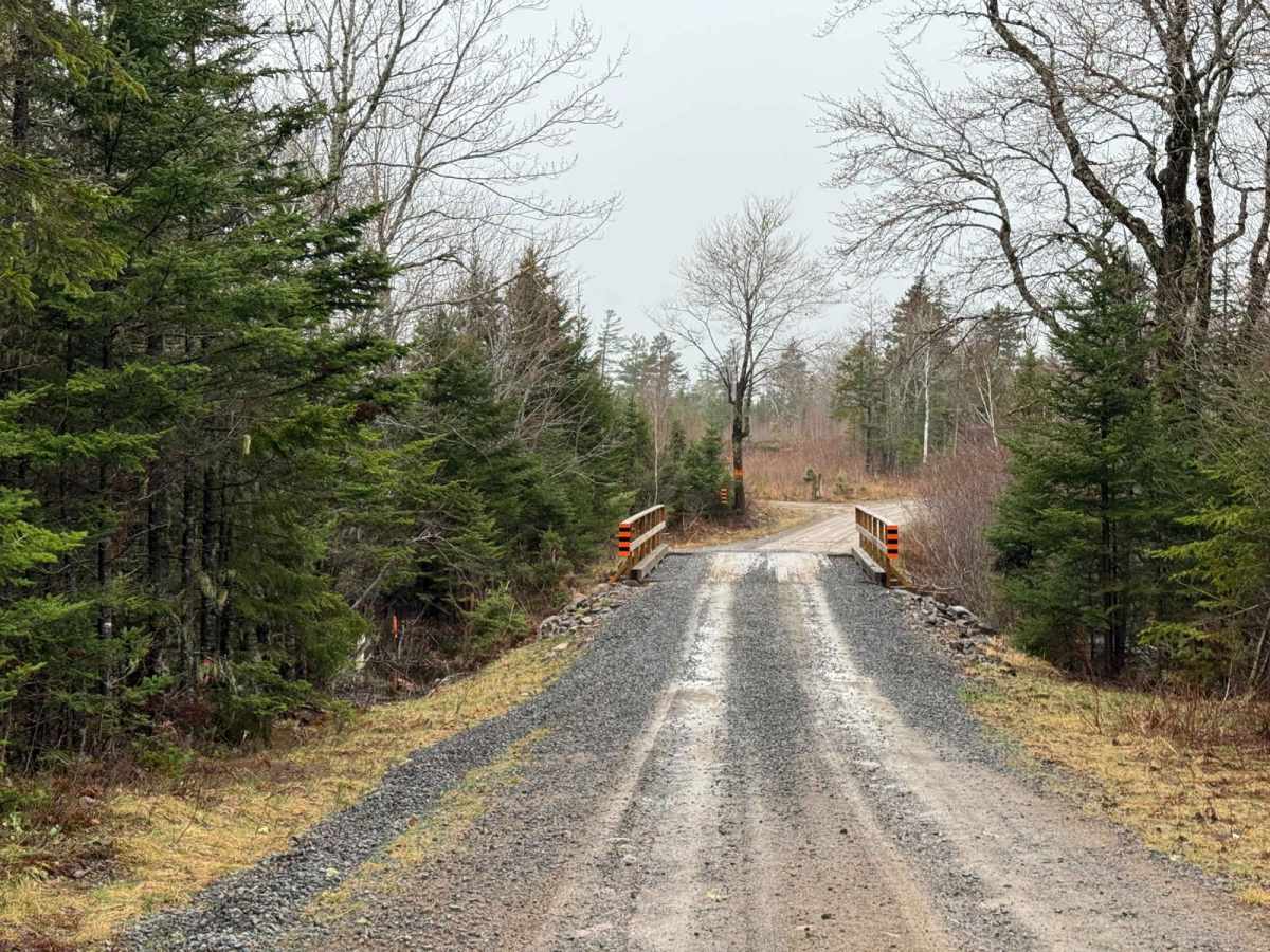Route 99 photo 4