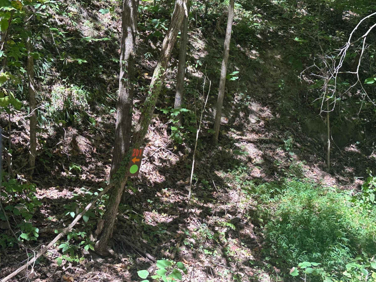 201 trail photo