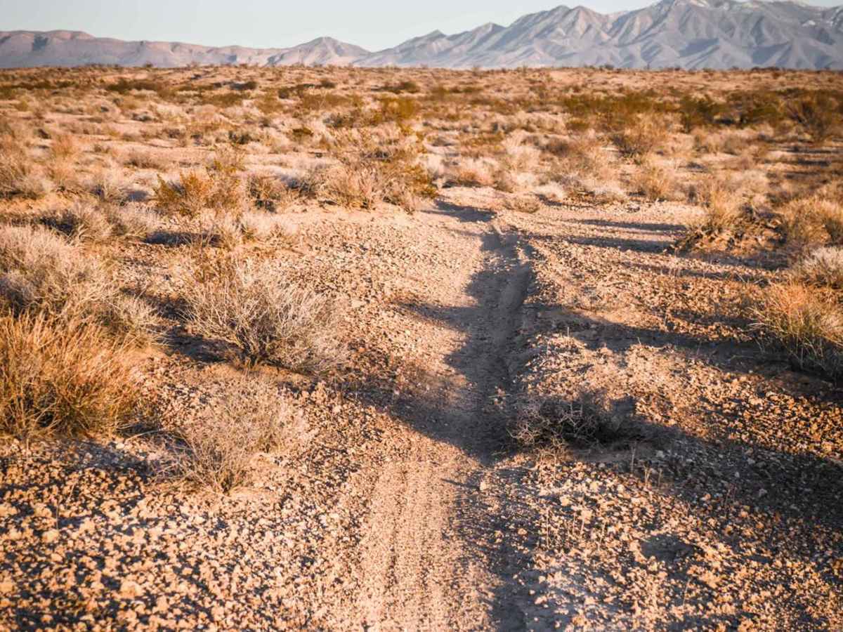 5 Horsepower Trail photo 4