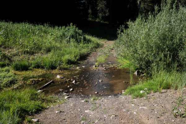 South Fork Timber Creek #5127
