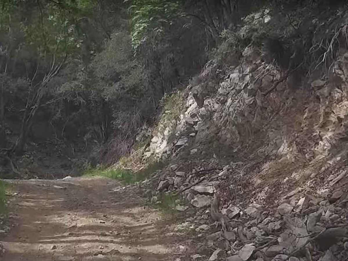 5S01 Indian Truck Trail photo 5