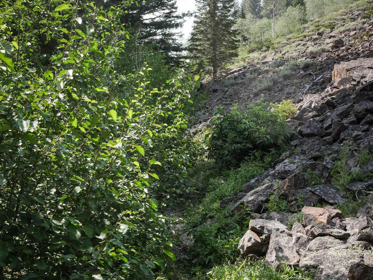 Five Mile Creek (South) photo 2
