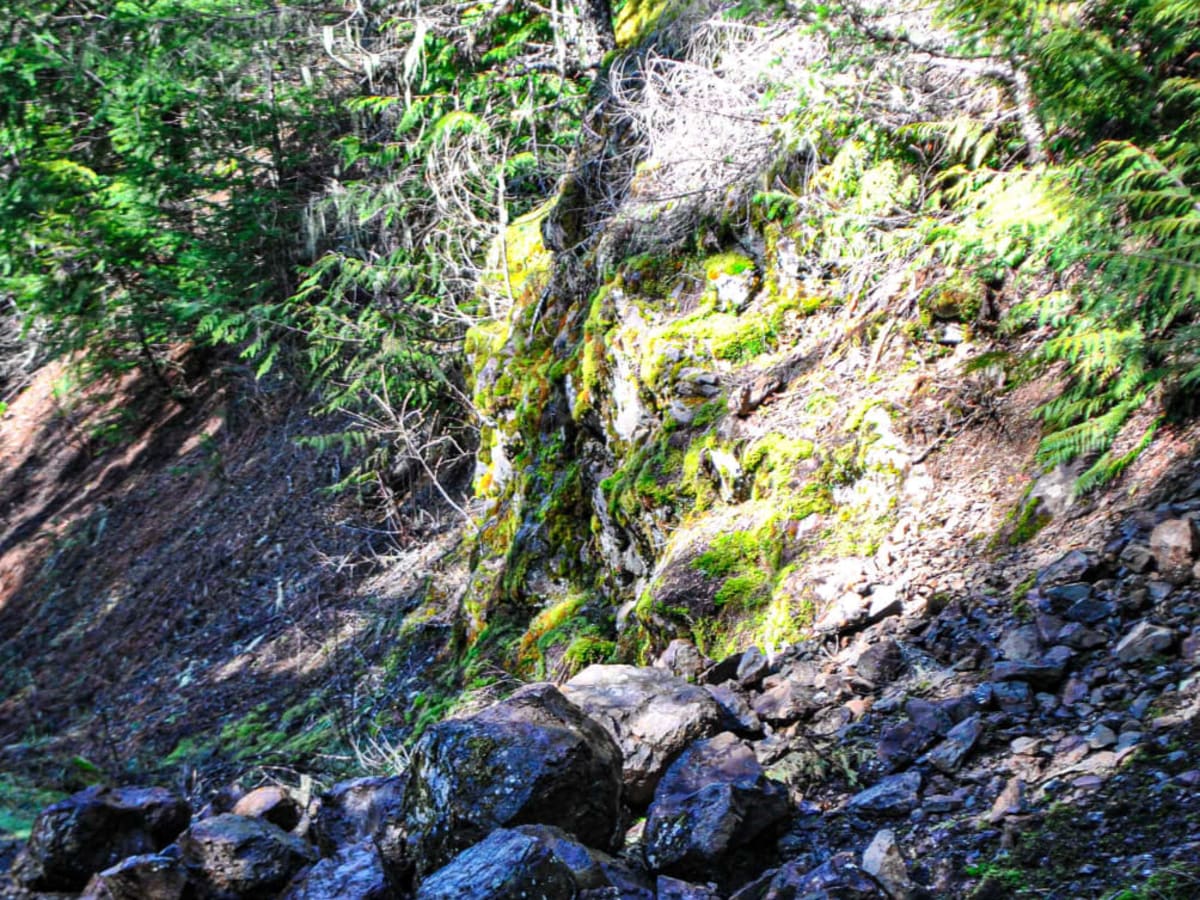 Upper Big Quilcene Trail photo 3