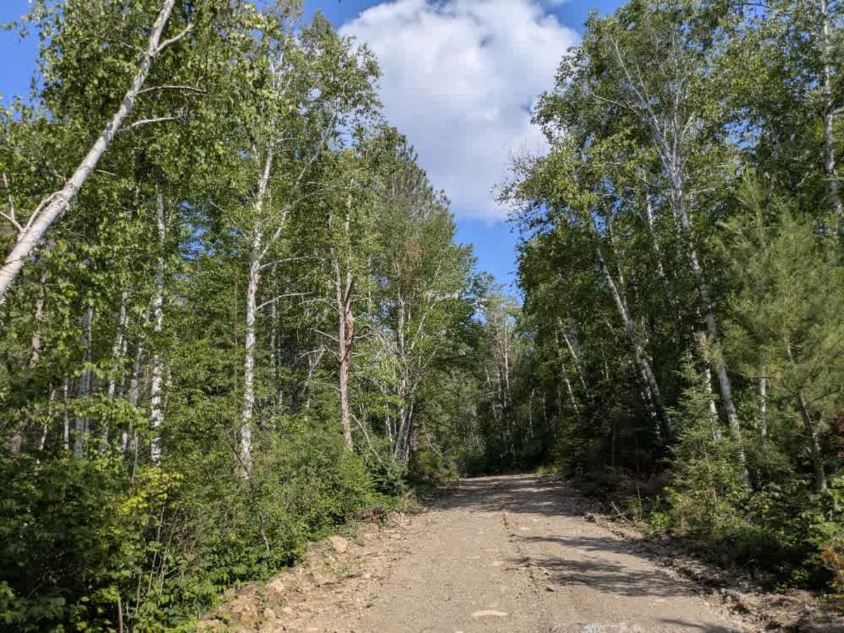 Denley Lake Spur E trail photo