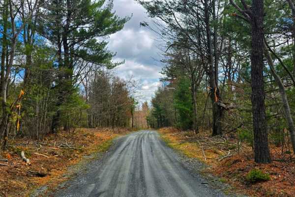 Swift Run Road