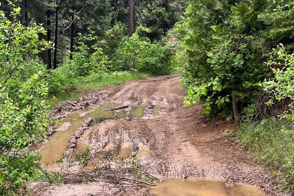 North Fork Crossing