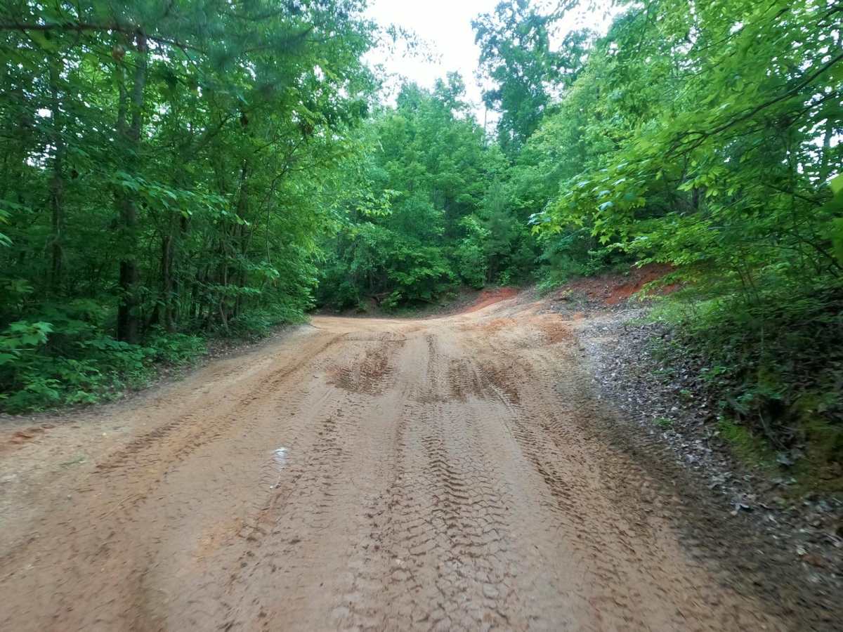 Trail 14 photo 3