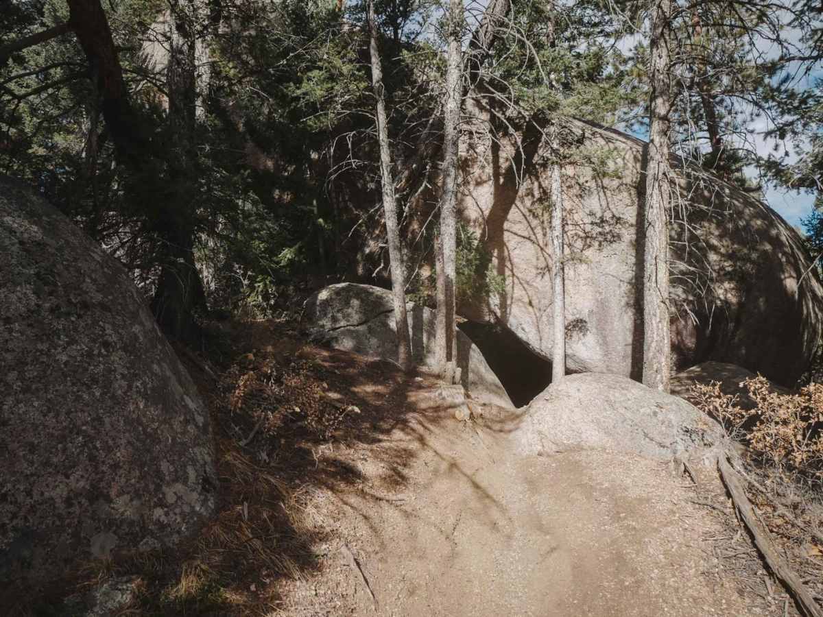 770 Turtle Mountain Trail (Part 1) photo 4