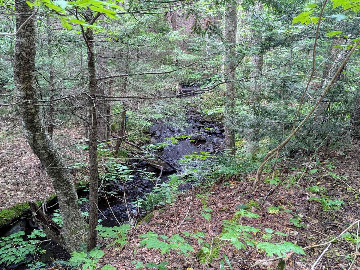 Middle Road photo 3