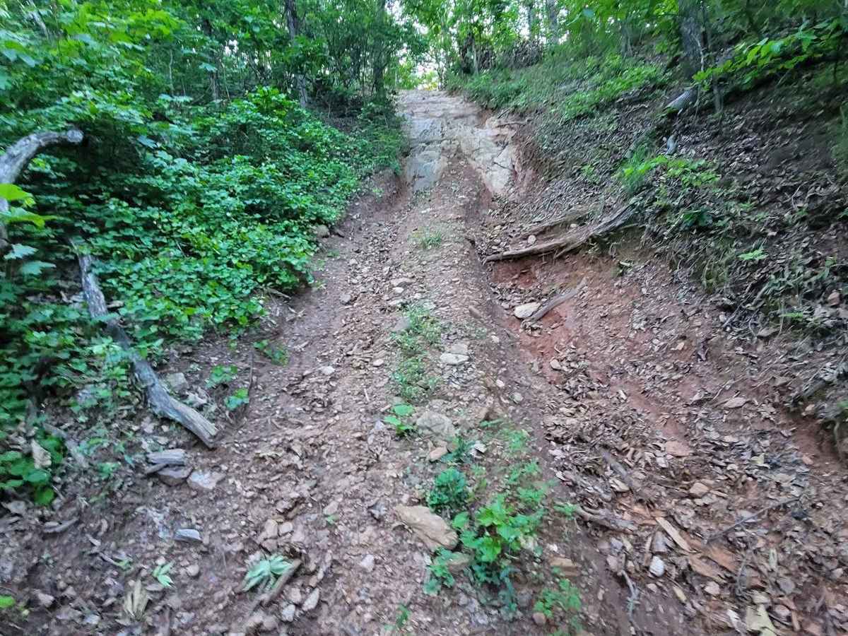 Still Hill photo 3