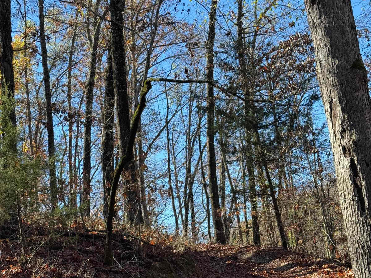 Yellow 127 trail photo
