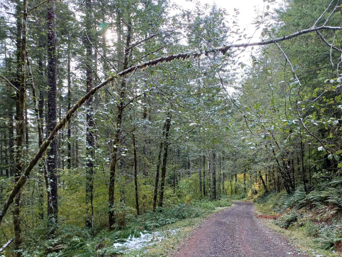 Little Hebo Access photo 3