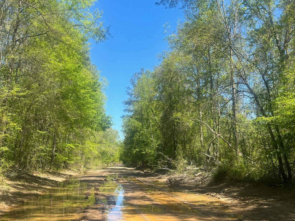 Sugar Creek Road photo 2