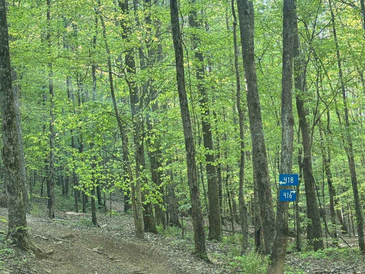418 trail photo